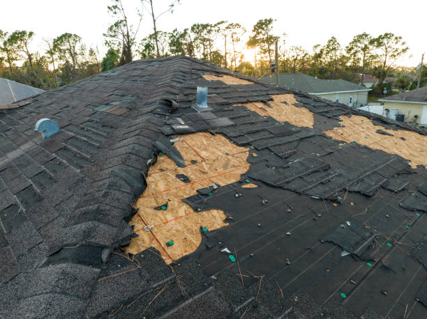 Best Asphalt Shingle Roofing  in Picacho Hills, NM