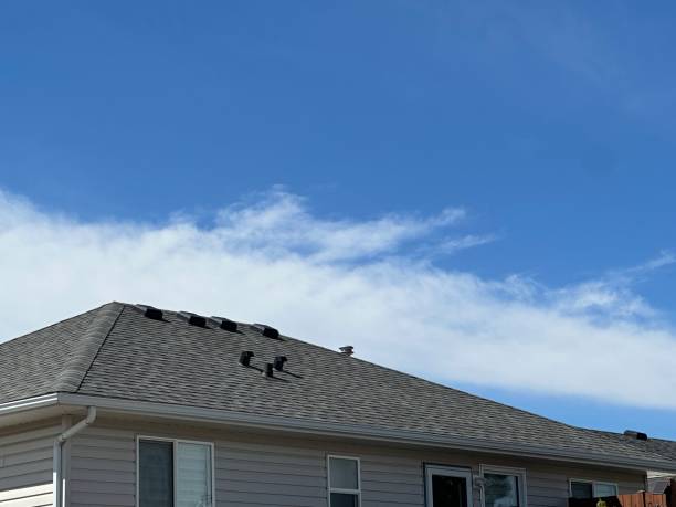 Best Cold Roofs  in Picacho Hills, NM