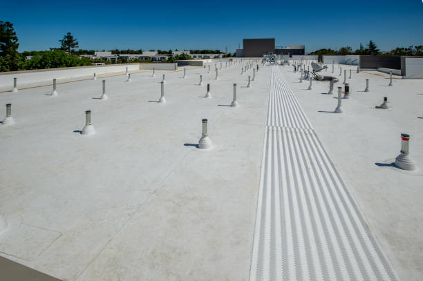 Best Roof Insulation Installation  in Picacho Hills, NM